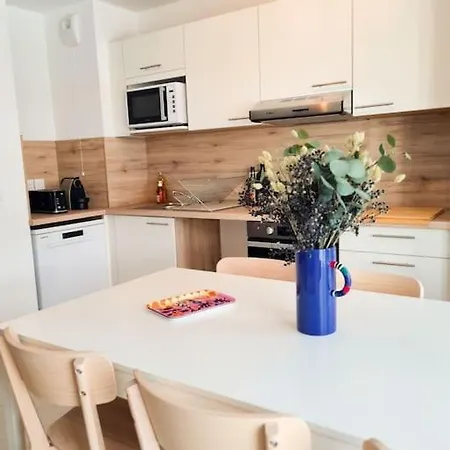 Apartamento Magnifique - Parking Prive - Niza